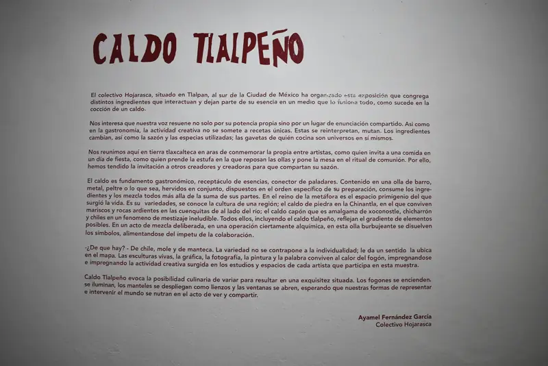 Caldo Tlalpeño — Obra del Colectivo Hojarasca — Vista 06