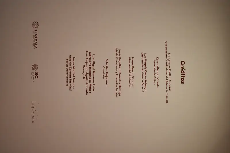 Caldo Tlalpeño — Obra del Colectivo Hojarasca — Vista 09