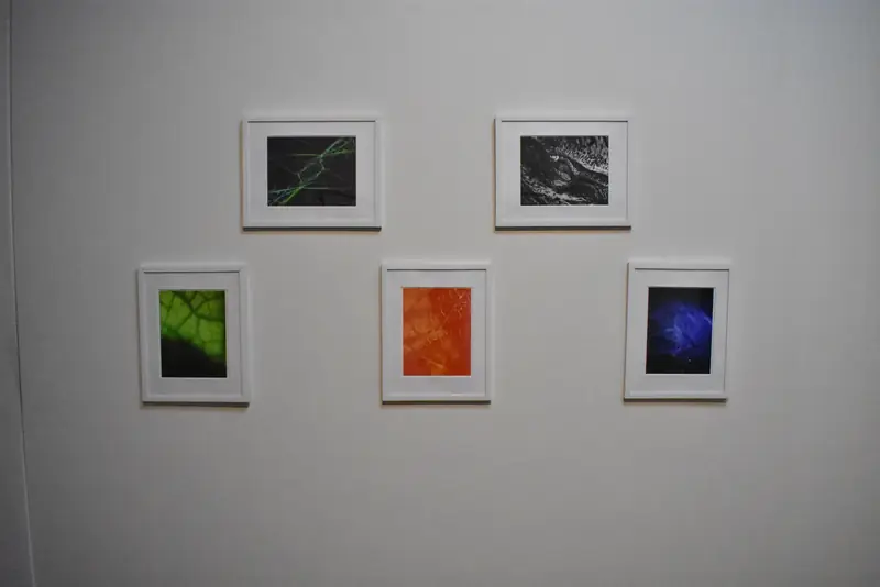 Caldo Tlalpeño — Obra del Colectivo Hojarasca — Vista 12