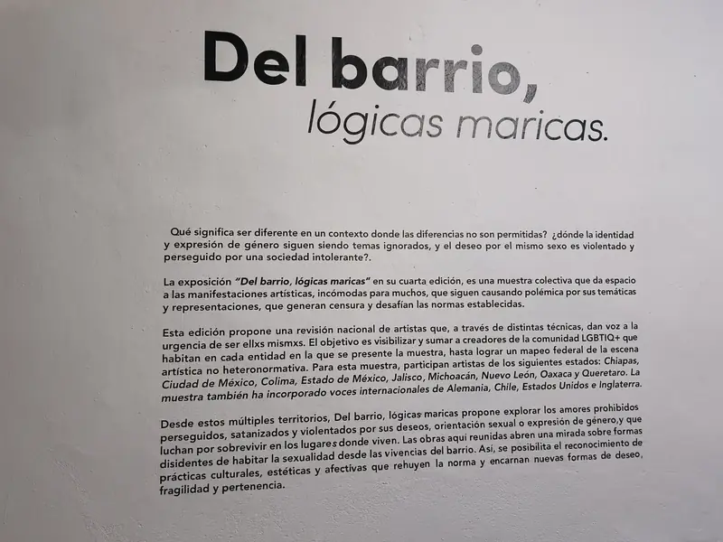 Del barrio, lógicas maricas — Obra de la colectiva — Vista 06