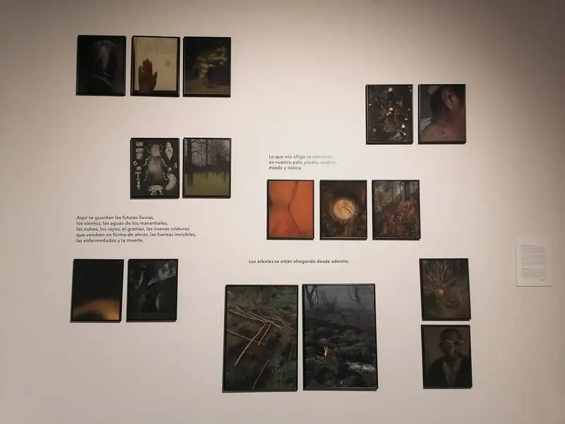 Pensar es Ahora Vol. 2 — Obra de jóvenes artistas — Vista 03